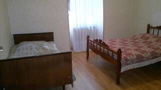 Гостевой дом Guest House Besarioni Боржоми Двухместный номер с 1 кроватью и собственной ванной комнатой-4