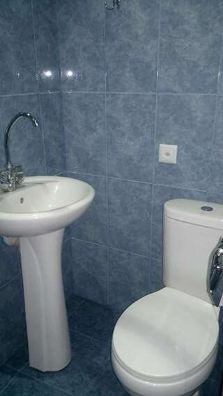 Гостевой дом Guest House Besarioni Боржоми Двухместный номер с 1 кроватью и собственной ванной комнатой-13