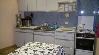 Гостевой дом Guest House Besarioni Боржоми Двухместный номер с 1 кроватью и собственной ванной комнатой-19