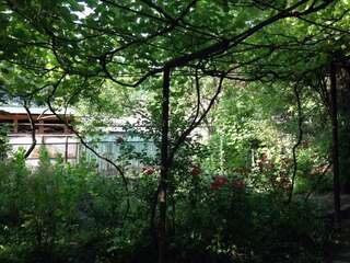 Гостевой дом Guest House Besarioni Боржоми Двухместный номер с 1 кроватью и собственной ванной комнатой-2